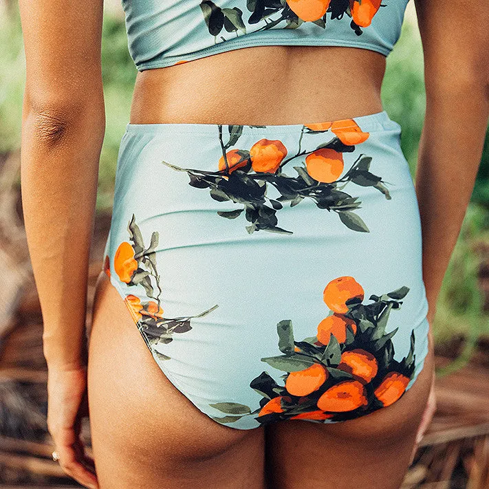 Clementine High-Waisted Bottoms