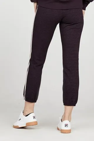 David Lerner - Classic Jogger w/ Stripe Deep Plum