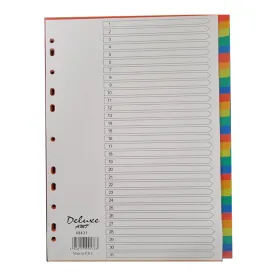 Deluxe Divider Plastic Colored A4, 31 Tabs