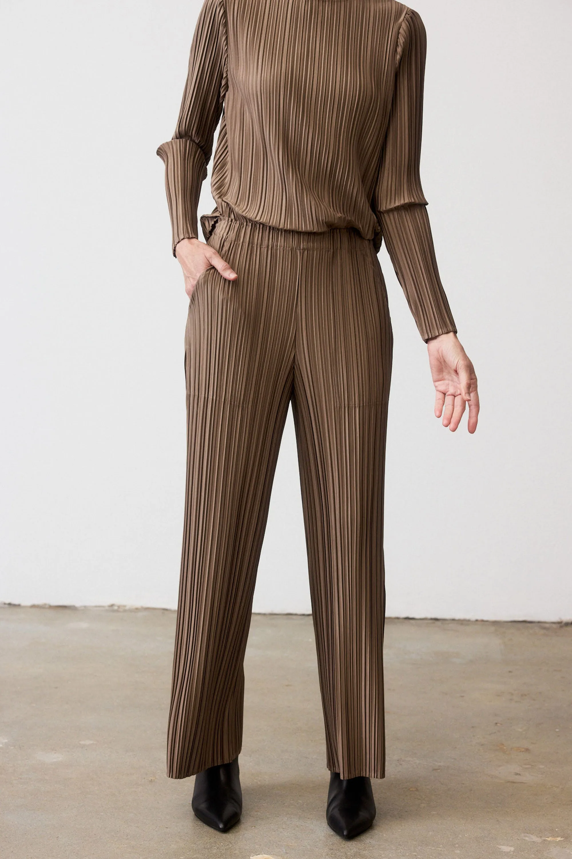 Relaxed Pleated Pants